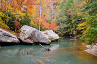 Autumn at Swift Camp Creek