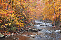 Autumn in the Smokies