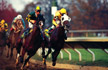 Backstretch Duel