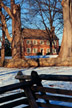 Locust Grove