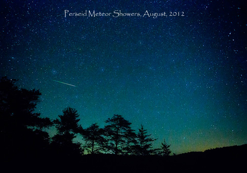 Perseid Meteor