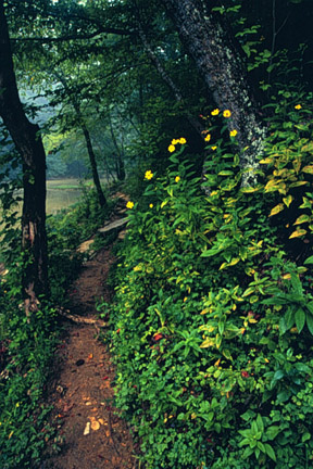Red River Pathway
