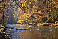 River of Color