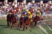 Rounding the Turn