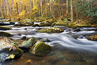 Rushing Waters