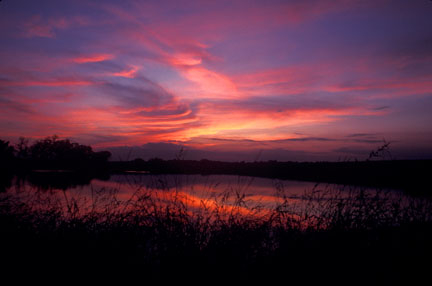 Snell Pond Sunset