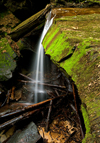 Waterfall at Son's Branch