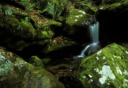 Waterfall and Mossy Rocks