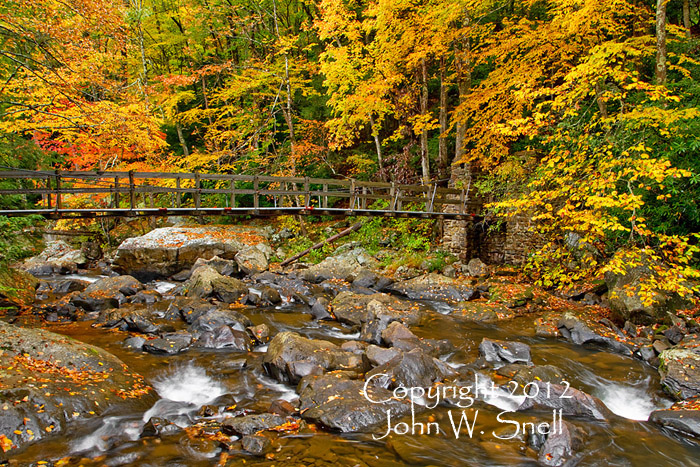 Across the Autumn Stream