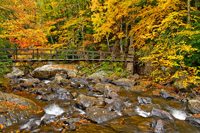 Across the Autumn Stream