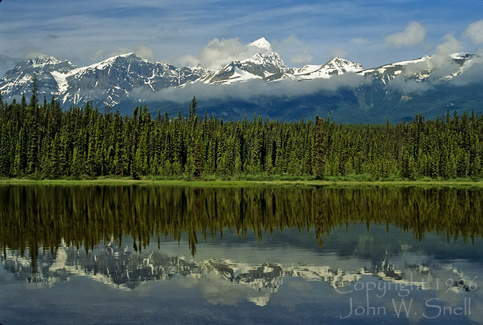 Along the Athabasca River