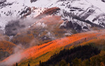 Aspens Aglow