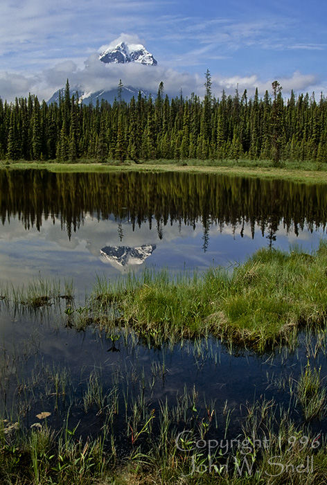 Athabasca Reflection