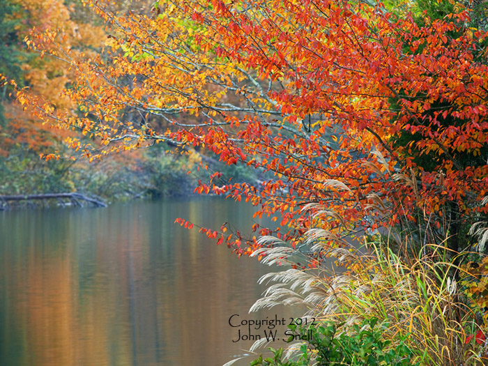 Autumn at Water's Edge