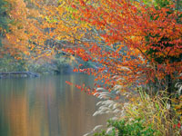 Autumn at Water's Edge