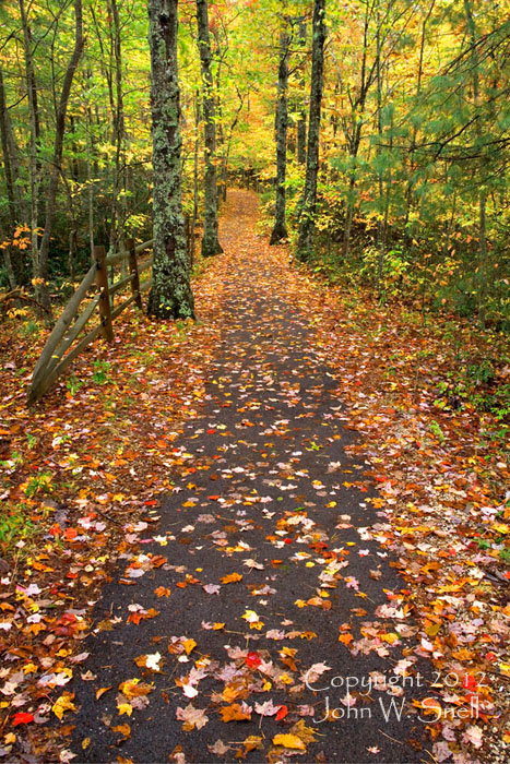 Autumn Pathway