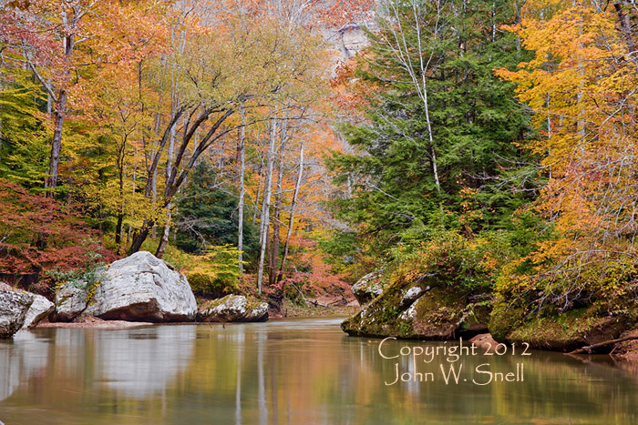 Autumn Serenity