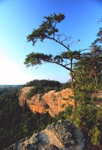 Auxier Ridge