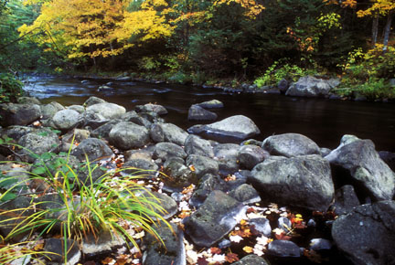 Downstream from Bond Falls