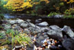 Below Bond Falls