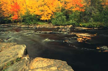 Upstream from Canyon Falls