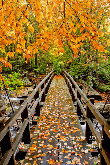 Bridge into Autumn