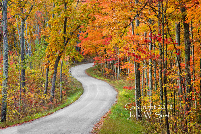 Curves and Colors