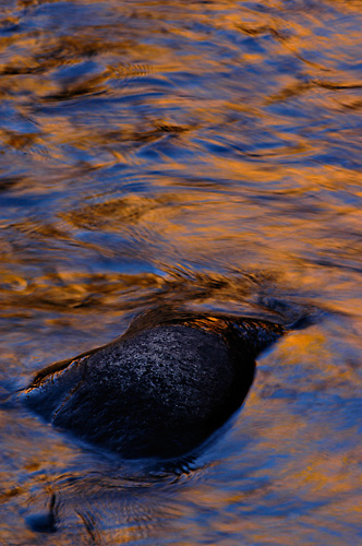 Blue Sky and Aspen Color in the Dolores River