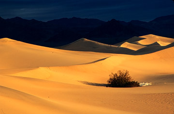 Sand Dunes, Death Valley