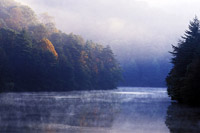Early Autumn Solitude