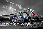 Keeneland Threesome (B&W)