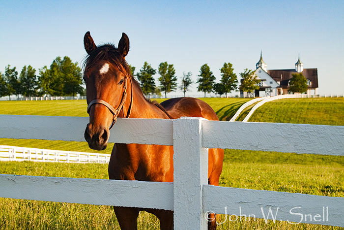 A Kentucky Welcome