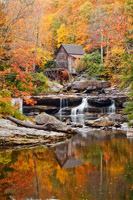 Mill Stream Reflection