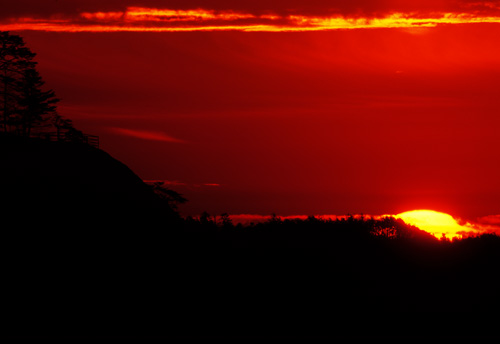 Morning Ablaze
