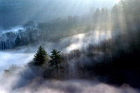 Morning Magic