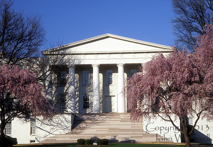 Cherry Trees and Old Morrison