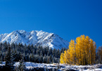 Mountain and Aspen