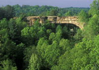 Natural Bridge