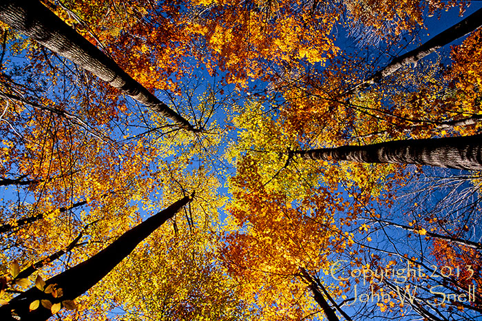 Reaching for the Sky