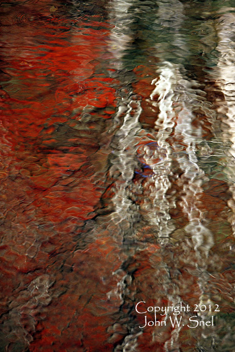 Red Wavy Tree