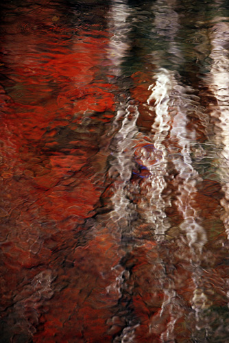 Red Wavy Tree Reflection