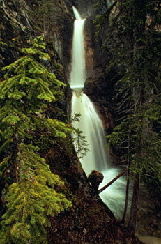 Silverton Falls