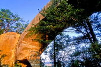 Skybridge Arch