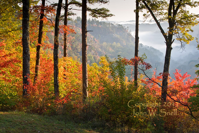 Tunnel Ridge Autumn