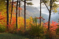 Tunnel Ridge Autumn