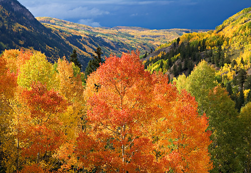 Valley of Splendor