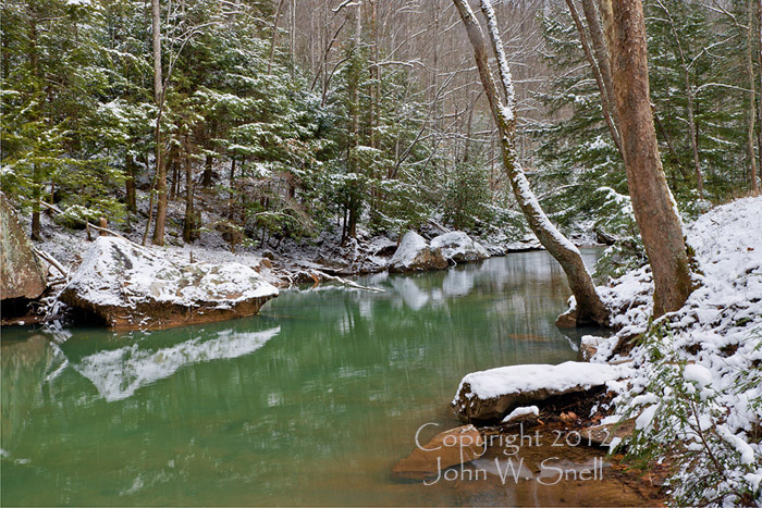 Winter Green