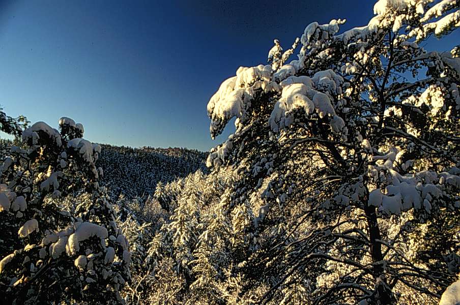 Winter in the Gorge