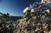 Winter in the Gorge